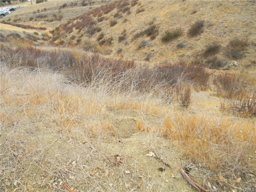 Photo of Listing #SW25275587