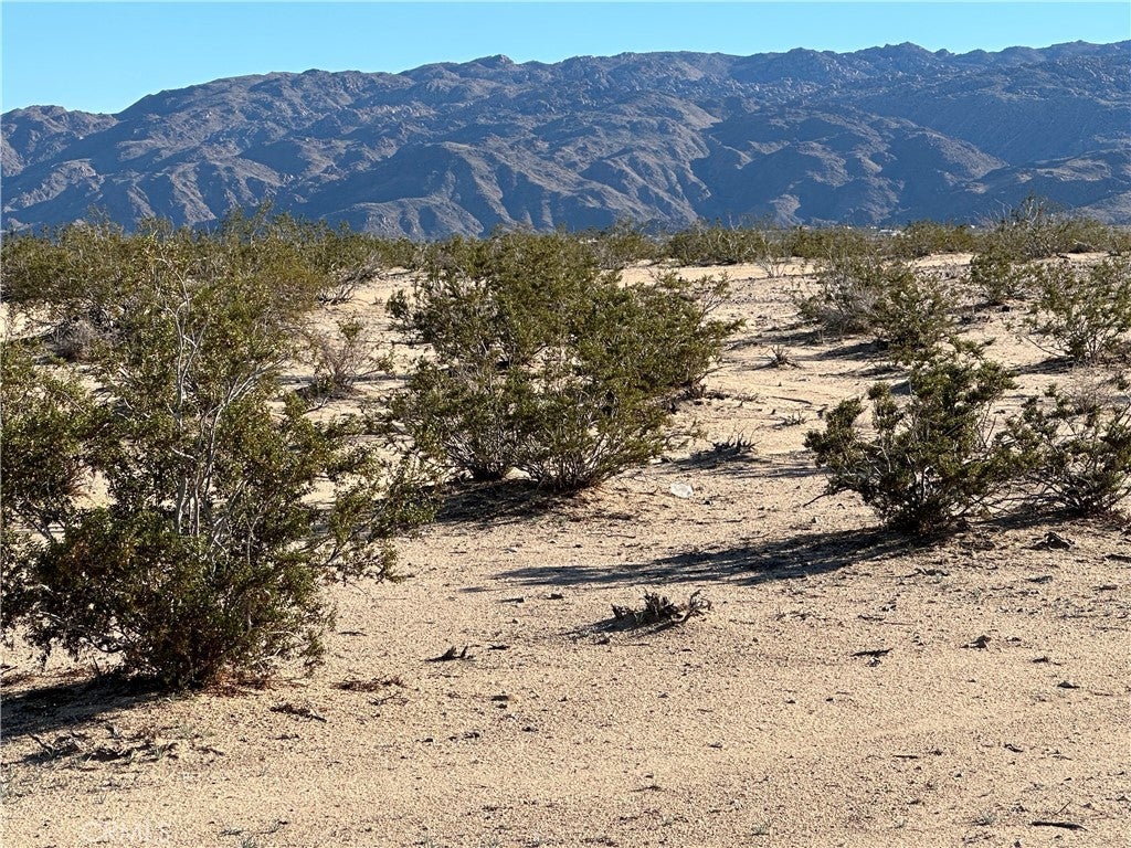 Photo of Listing #JT25275588