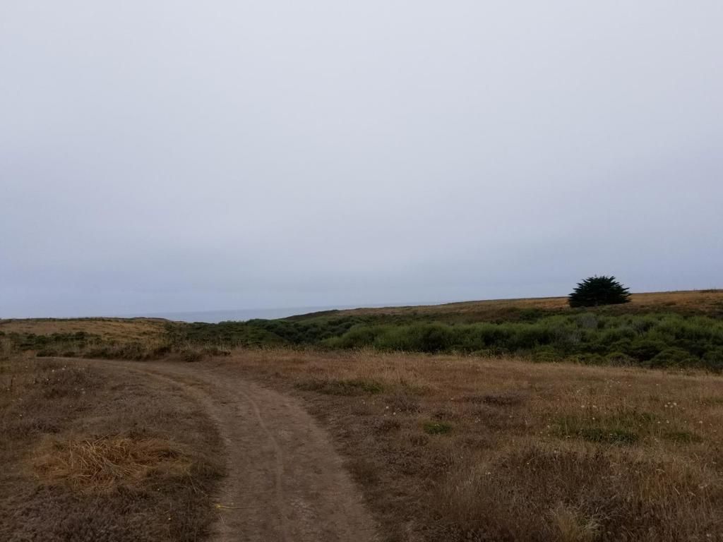 Rose Avenue, Half Moon Bay