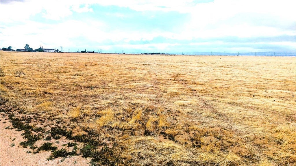 Photo of Listing #SR25275946