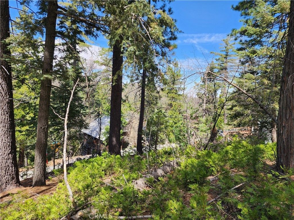 586 Rose, Twin Peaks