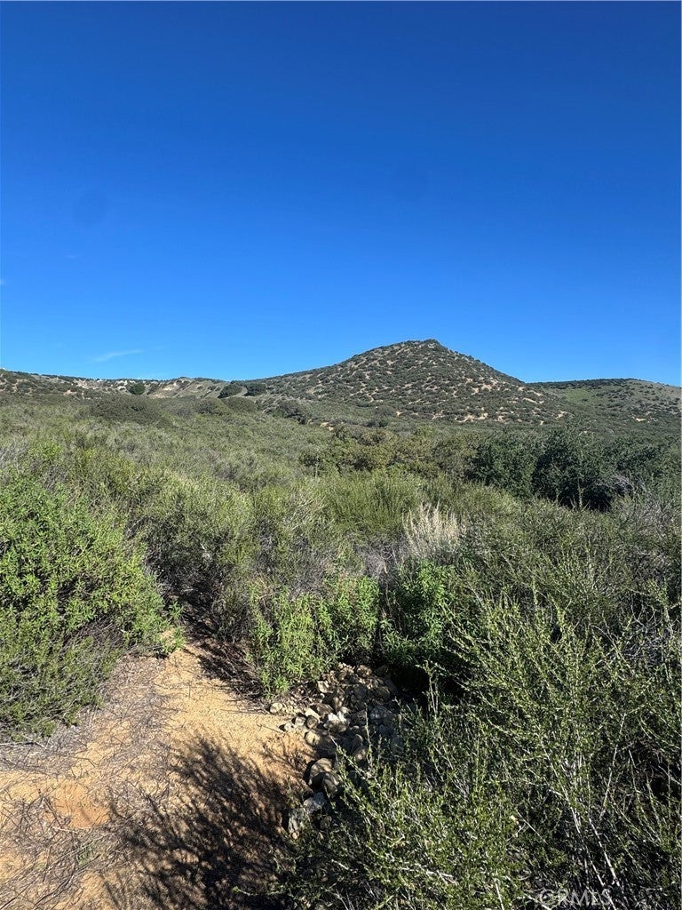 Photo of Listing #CV25276487