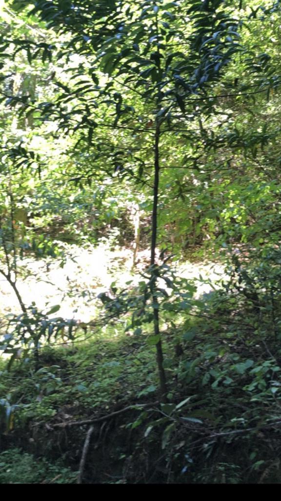 Photo of Listing #219140051DA