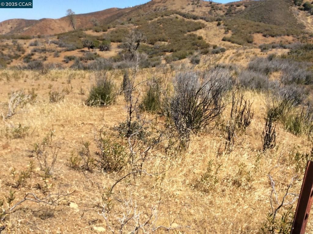 Del Puerto Canyon Road, Patterson