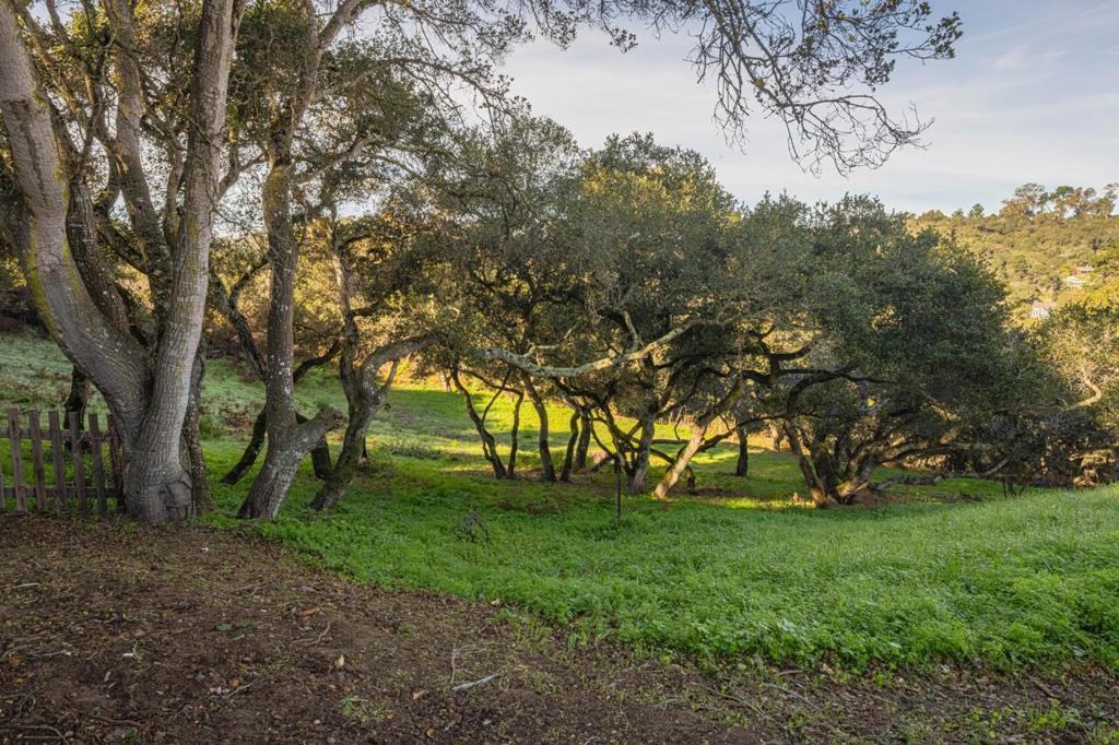 Photo of Listing #ML82029563