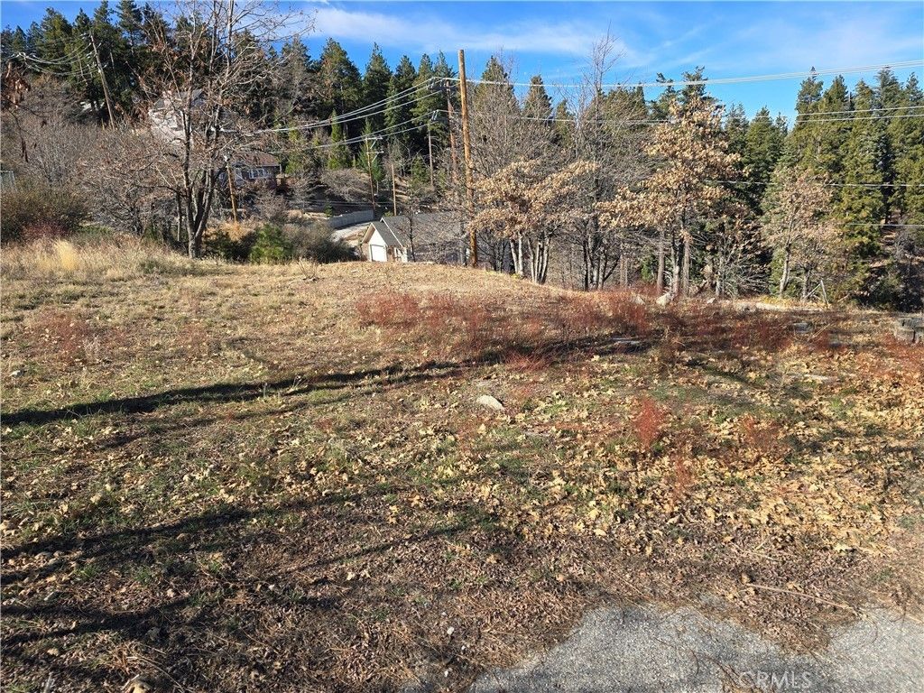 2350 Deep Creek, Running Springs