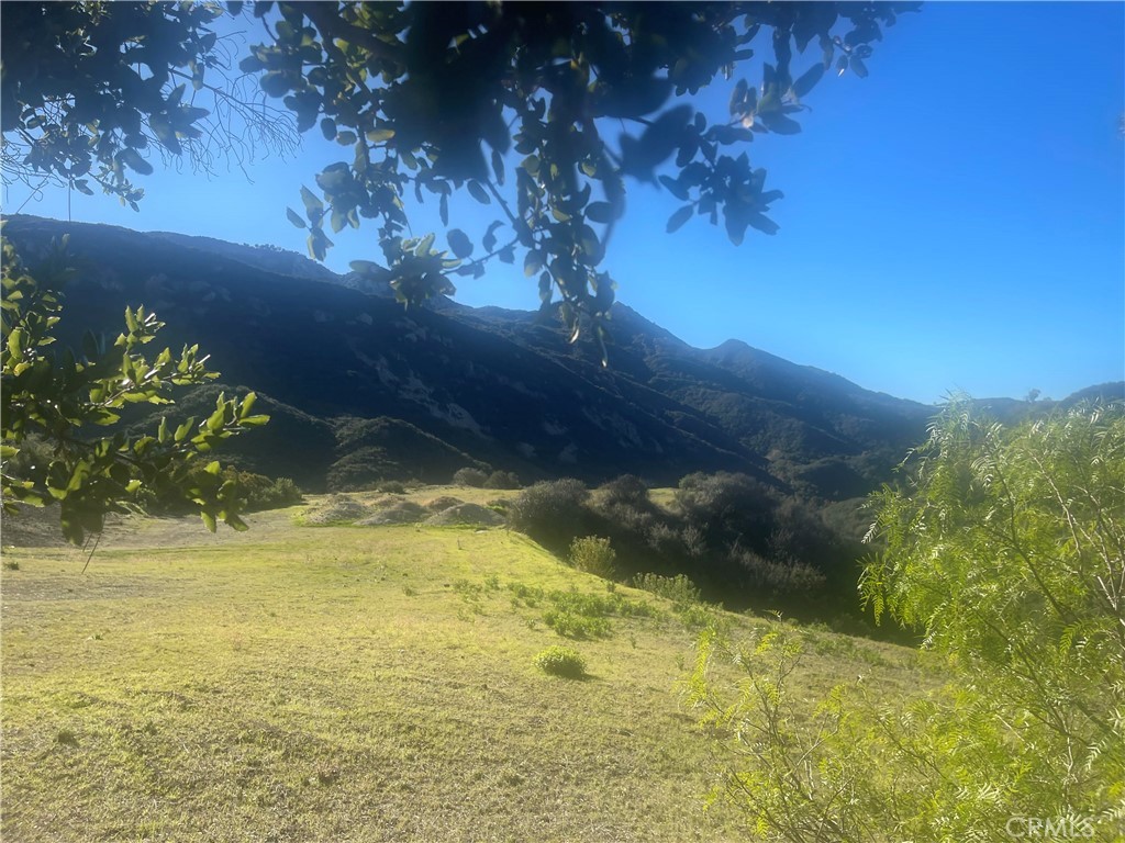 Photo of Listing #SR25277719