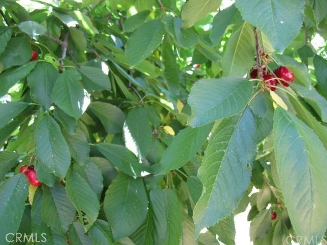 Photo of Listing #OR25278387