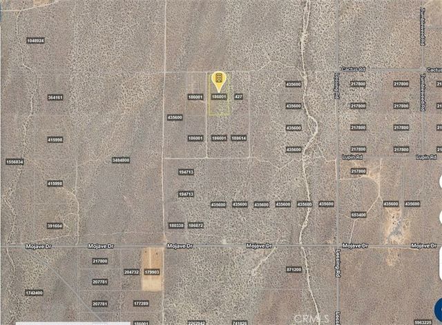 Cactus Road, Adelanto