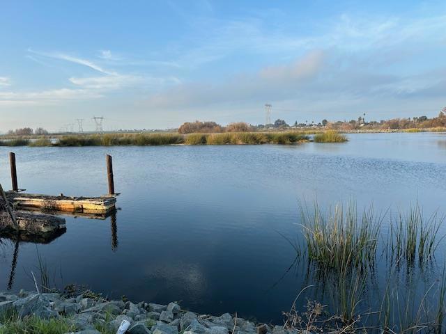 Photo of Listing #ML82029972