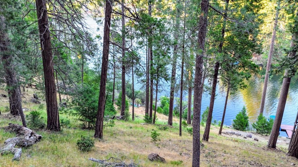 Photo of Listing #ML82030034