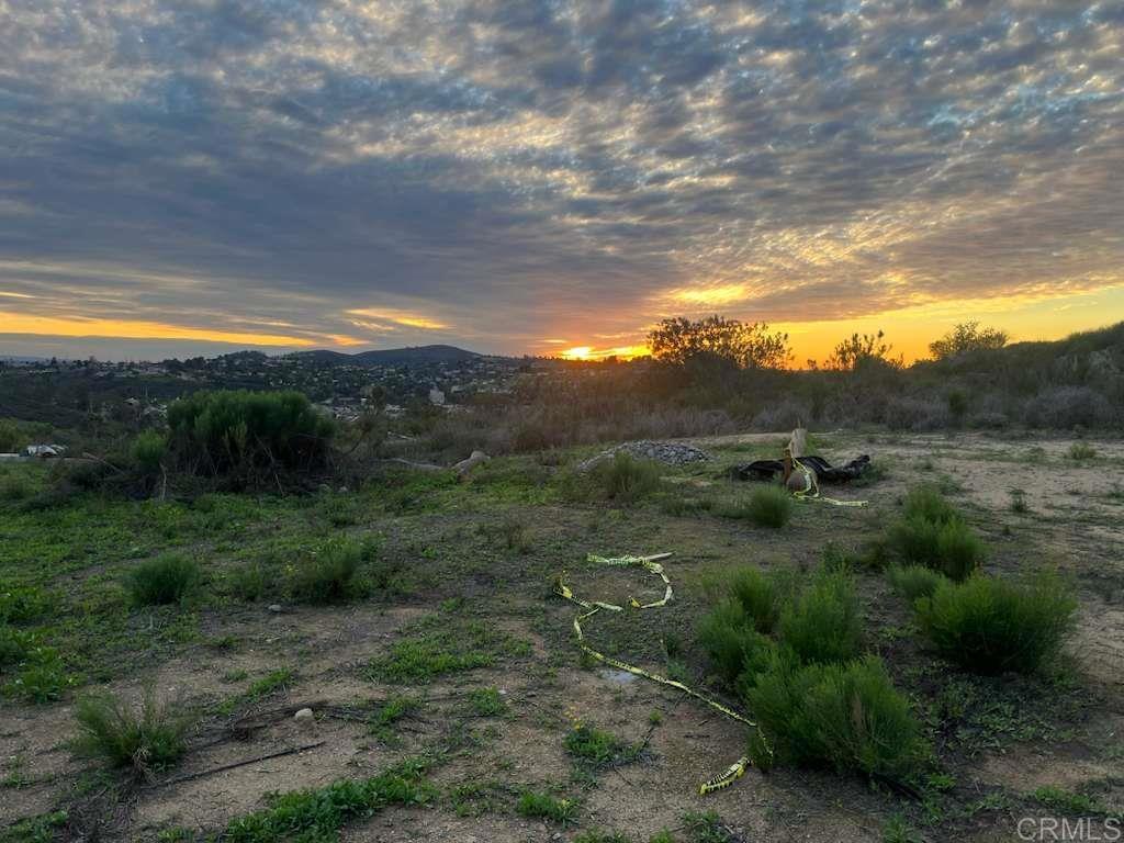 Photo of Listing #PTP2509336