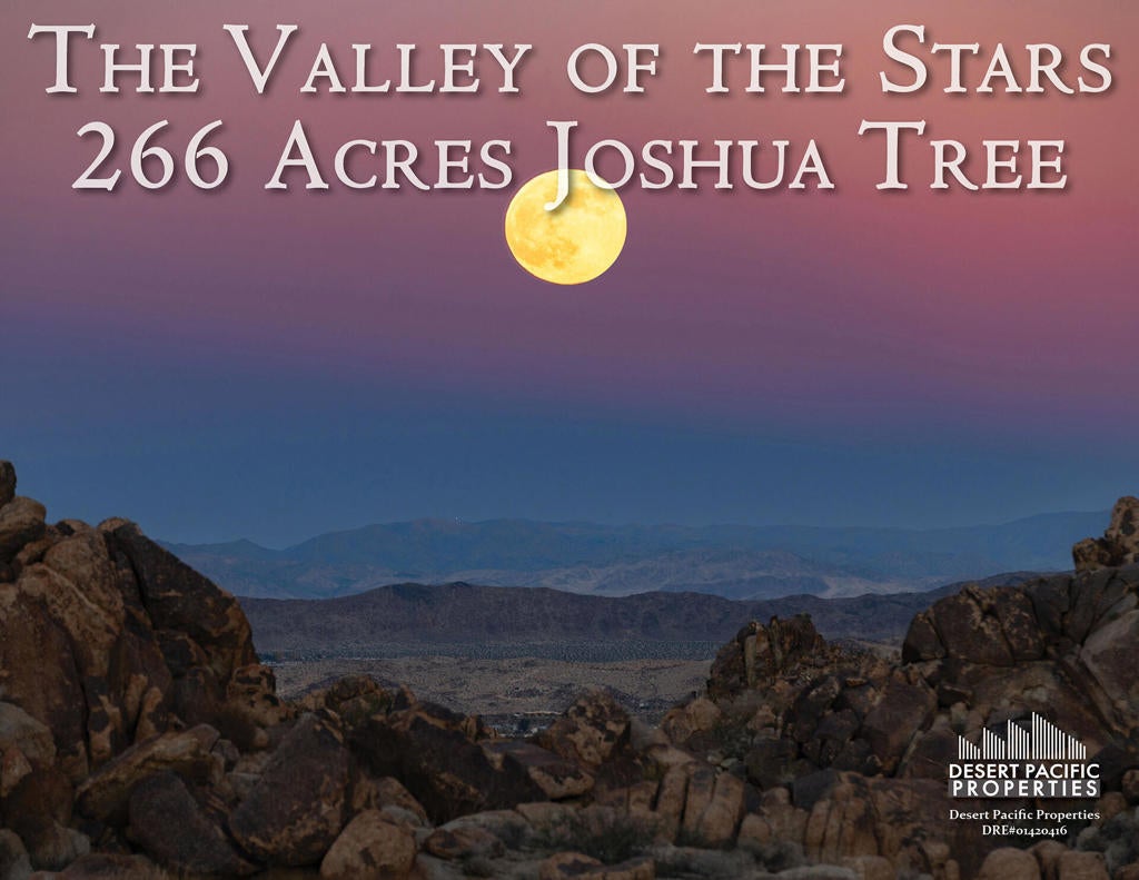 Photo of Listing #219140487DA