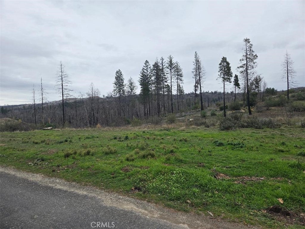 Photo of Listing #OR26000133