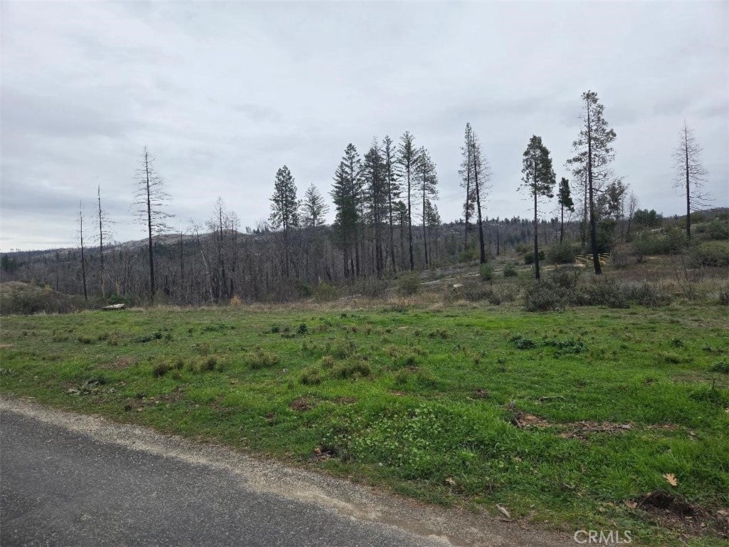 Photo of Listing #OR26000133