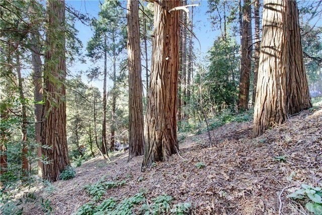 Photo of Listing #IG26000167