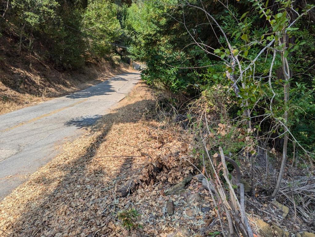 Photo of Listing #ML82030138