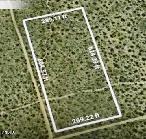 Photo of Listing #V1-33904