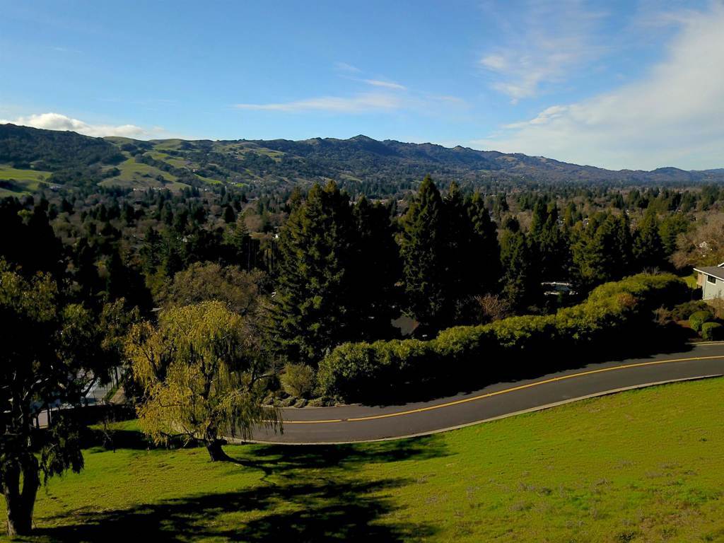 Photo of Listing #41119907