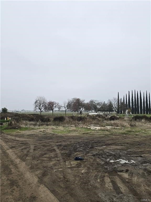 Photo of Listing #MC26001848