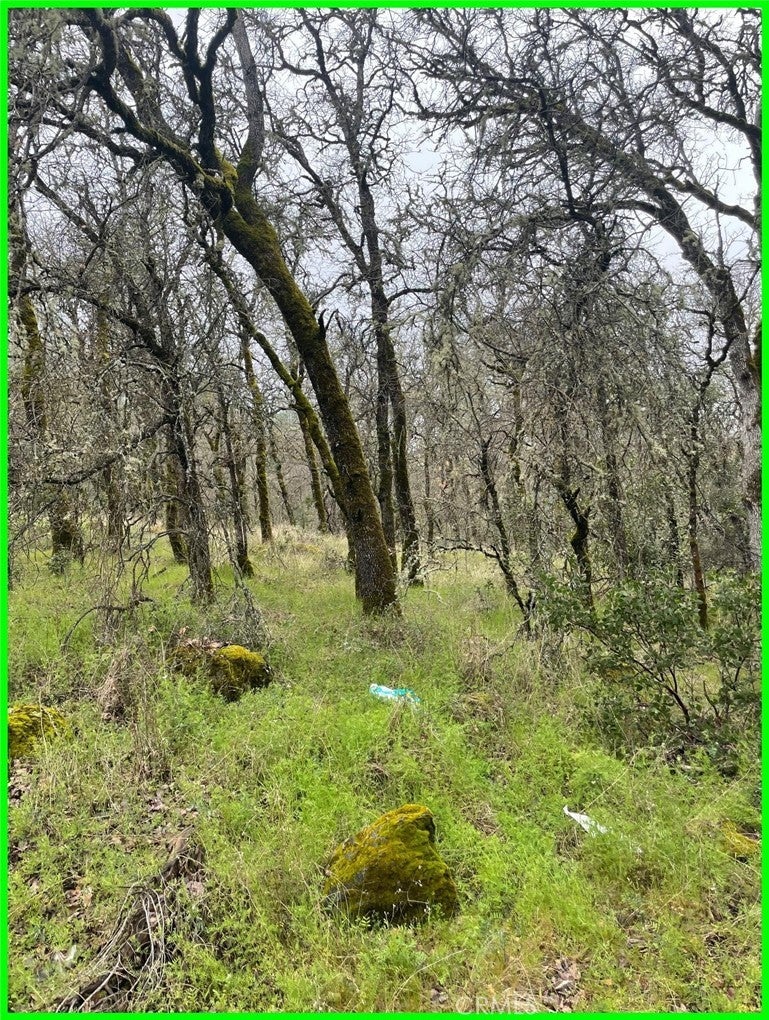 Photo of Listing #PW26002409