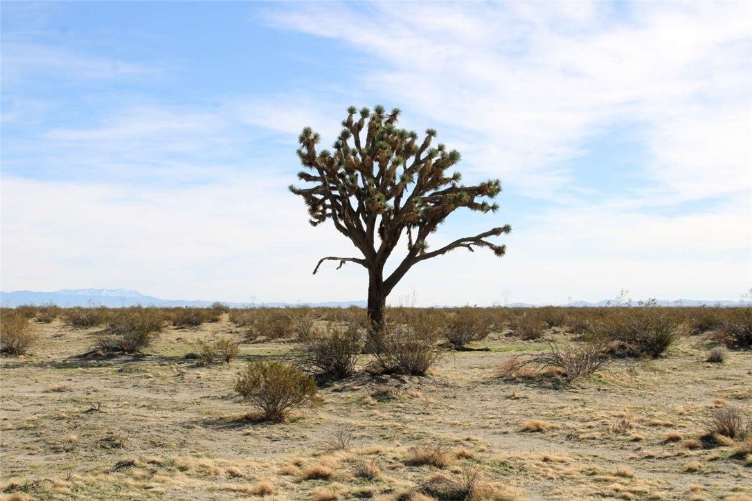 Photo of Listing #FR26002992