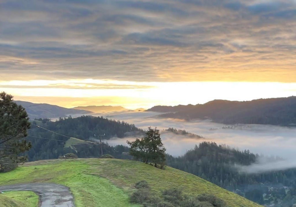 Photo of Listing #41120171