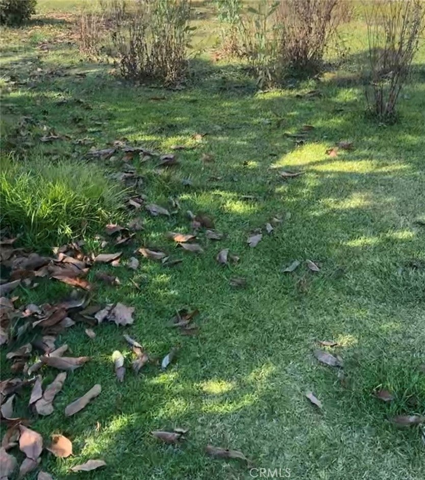 Photo of Listing #PW25278659