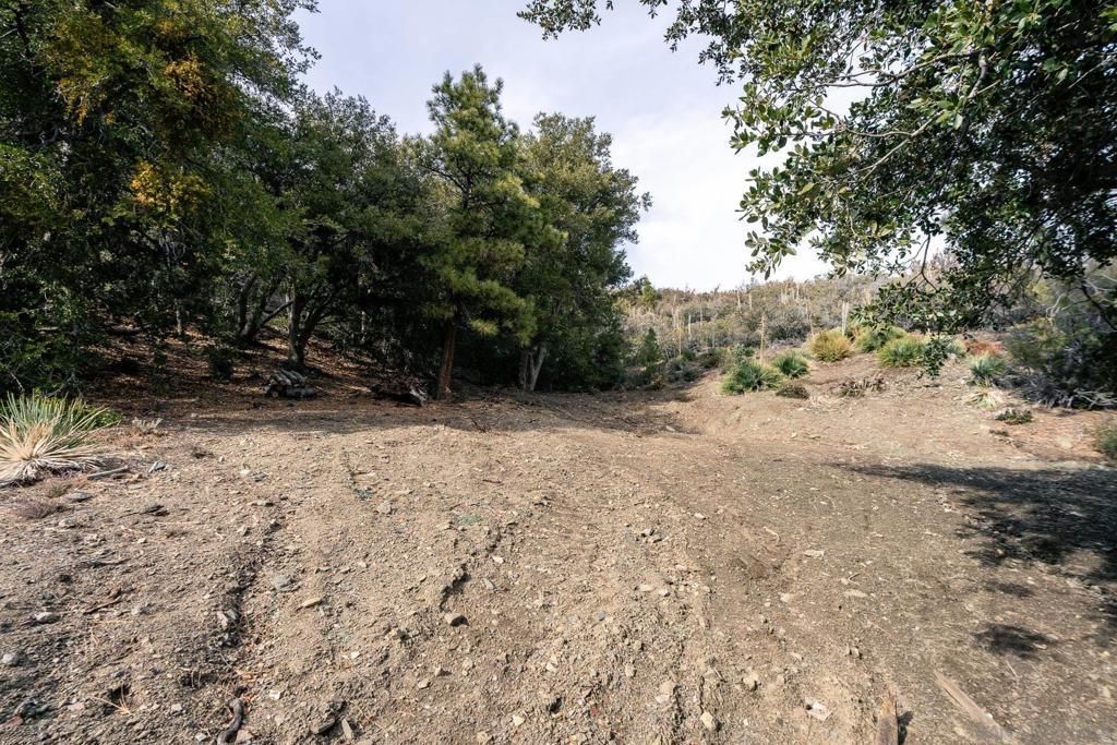 Timberline Dr, Wrightwood