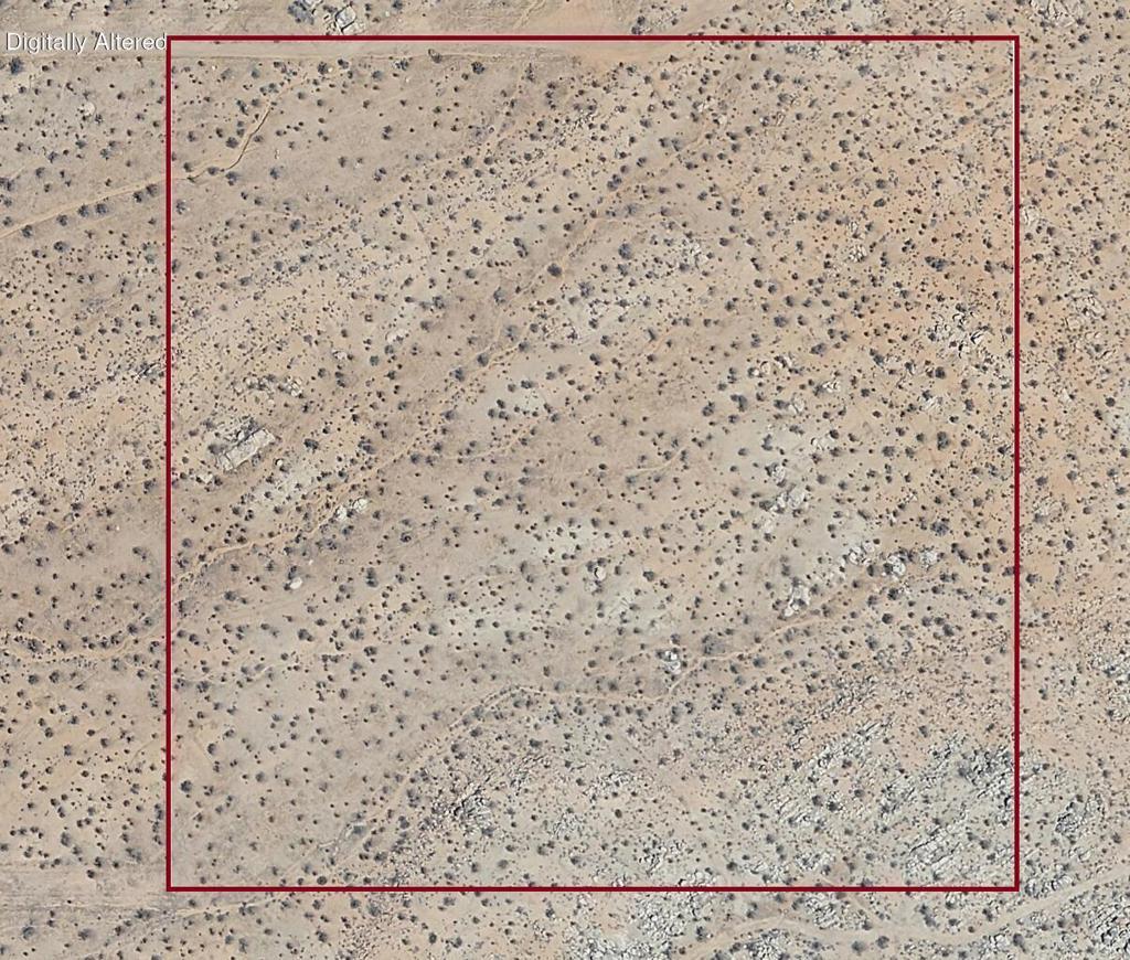 Photo of Listing #219140986DA