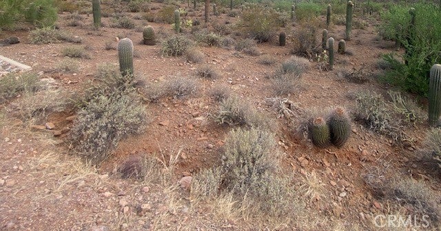 Photo of Listing #PW26004898