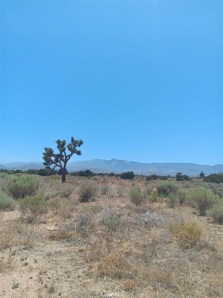 Photo of Listing #HD26005793