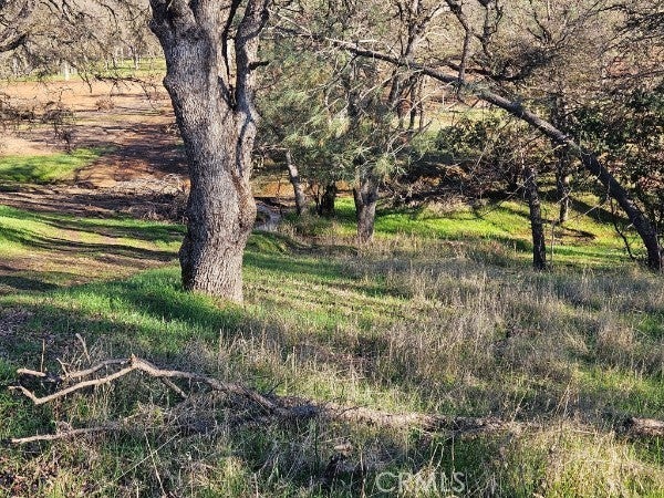 Photo of Listing #LC26006294