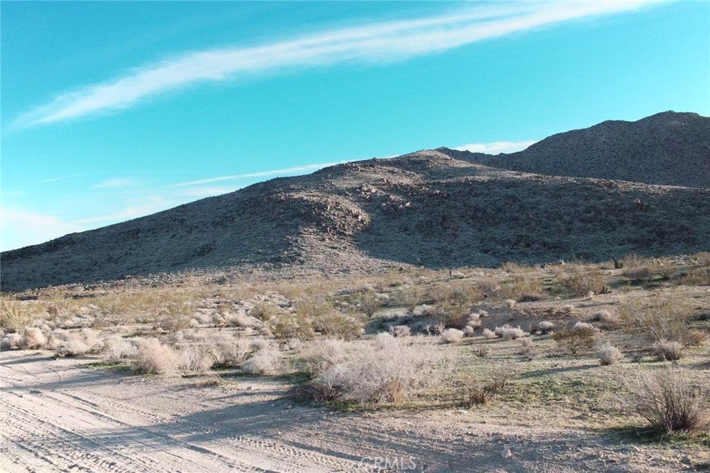 Photo of Listing #TR26006216