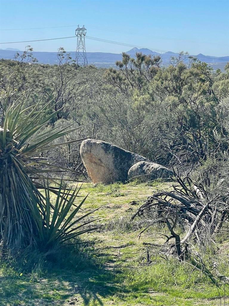 Photo of Listing #PTP2600286