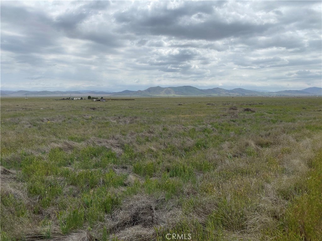 Photo of Listing #NS26006755