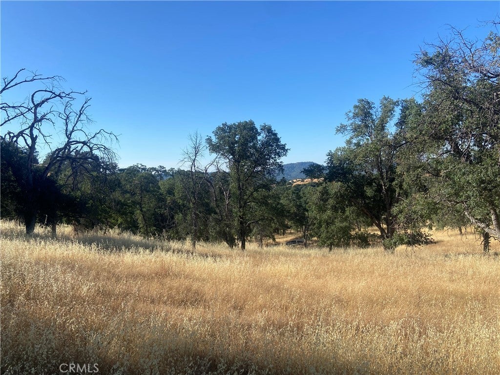 Photo of Listing #MP24144678