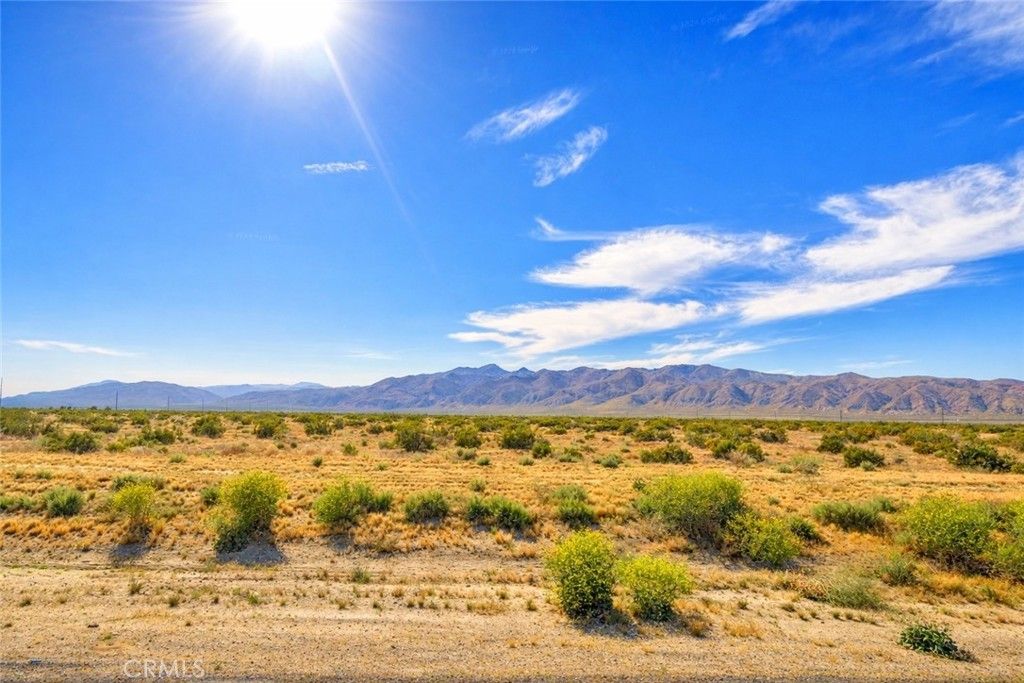 469120 08-00-6, Mojave