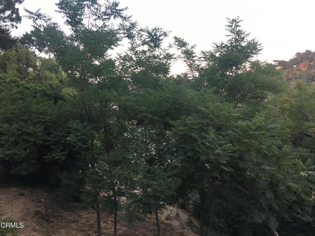 Photo of Listing #V1-34061