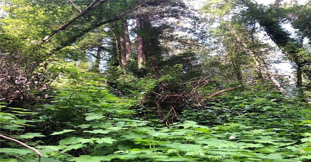 Photo of Listing #PI26007882