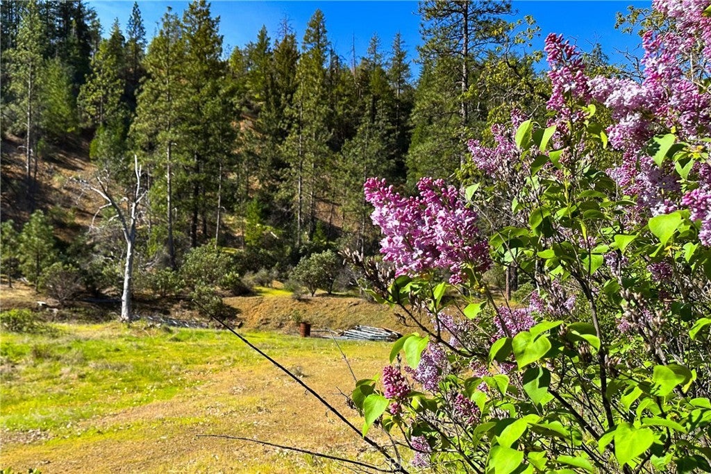 Photo of Listing #IV26008164