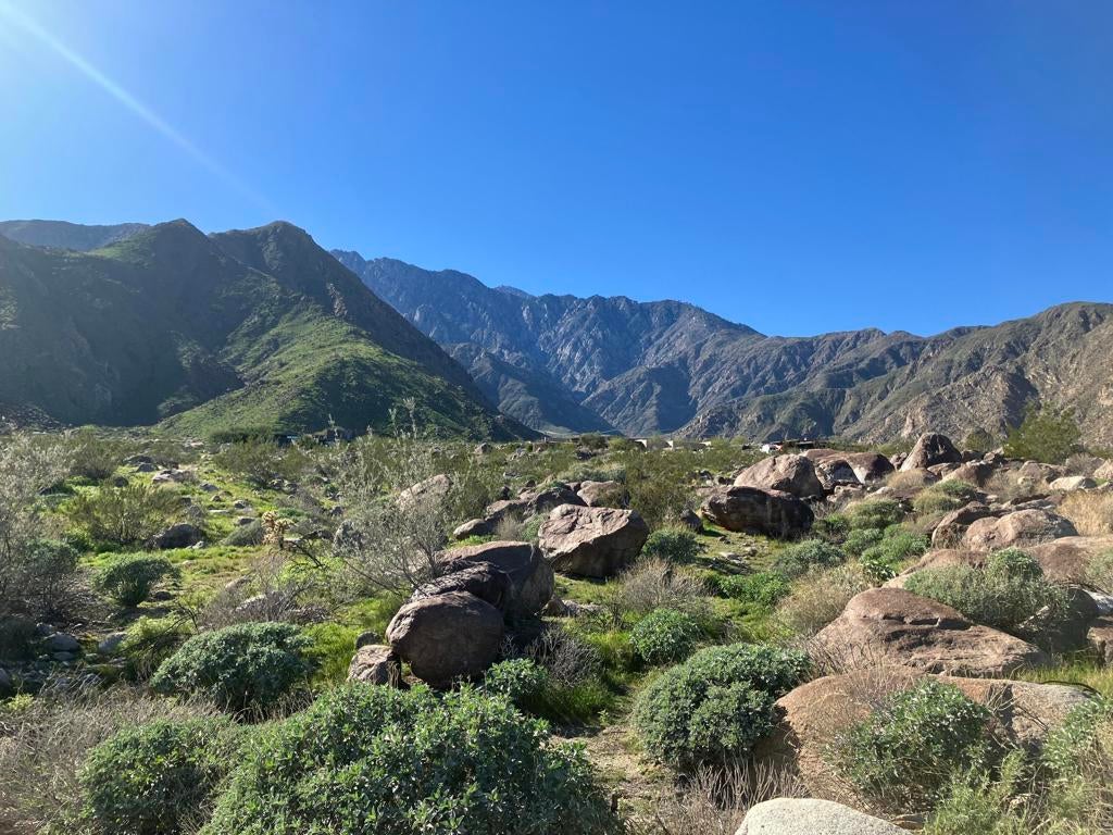 Photo of Listing #219141296PS