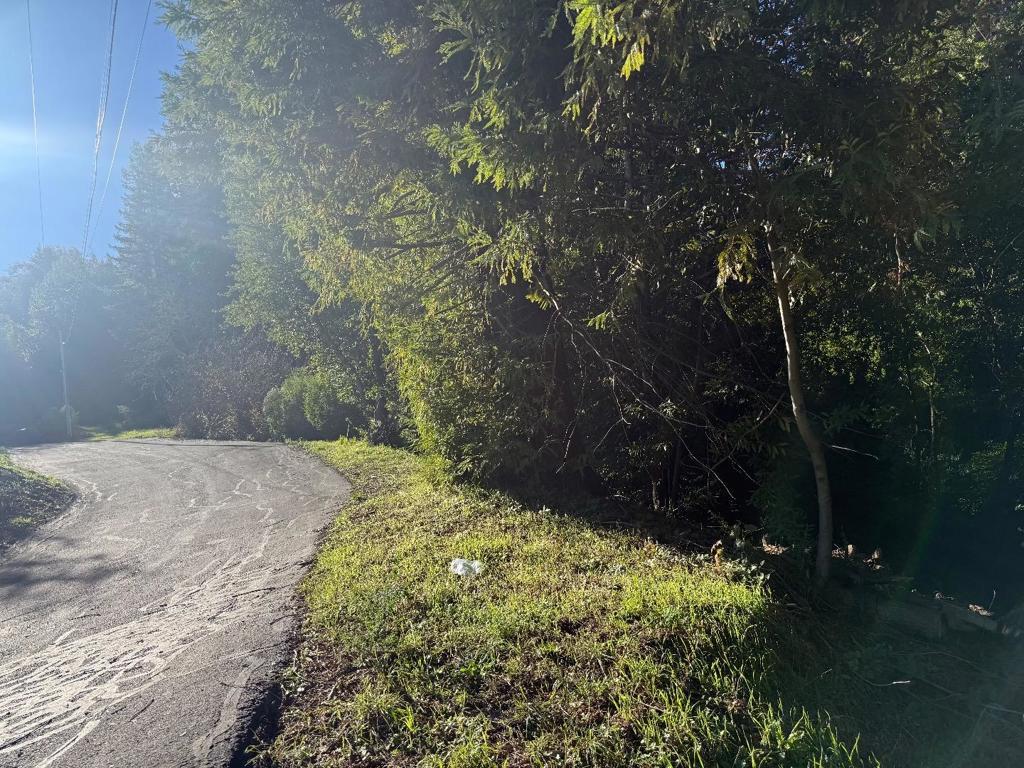 Photo of Listing #ML82031054