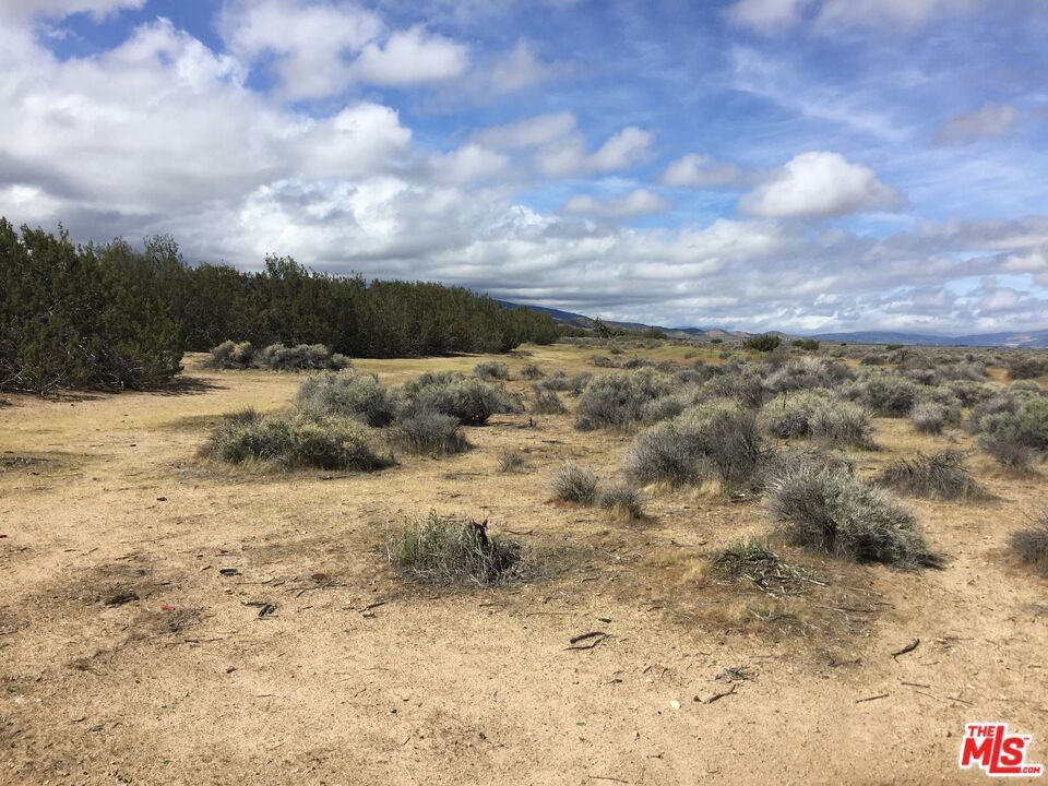 Photo of Listing #26637923