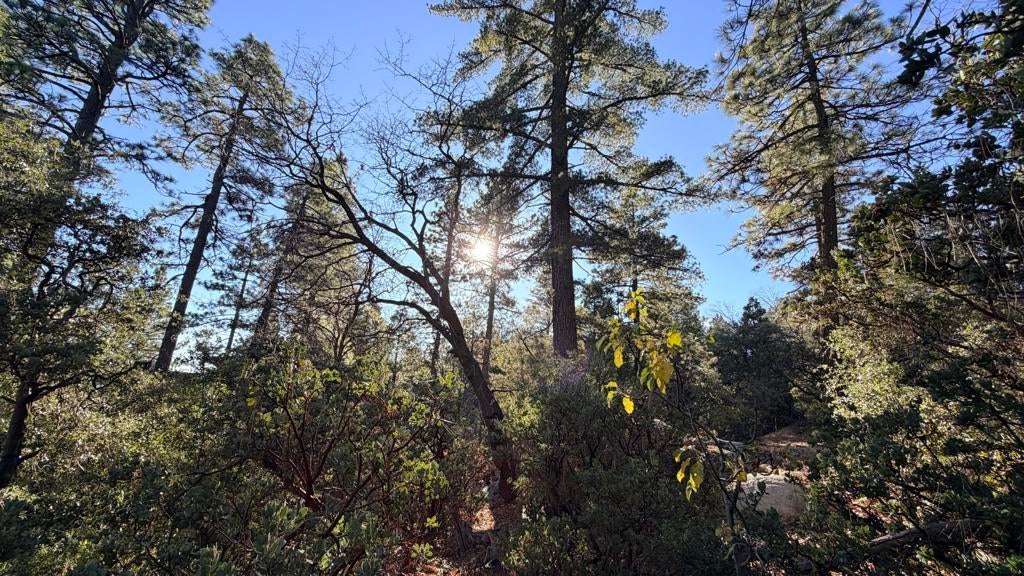 Photo of Listing #219141477DA