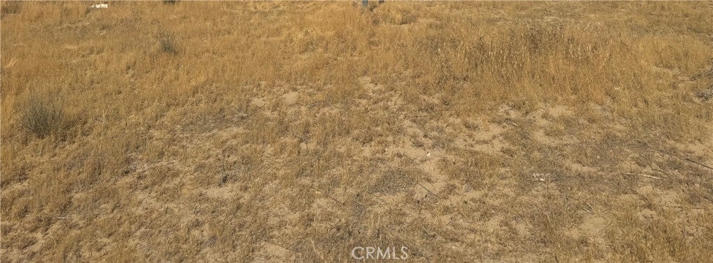 Photo of Listing #HD26010889