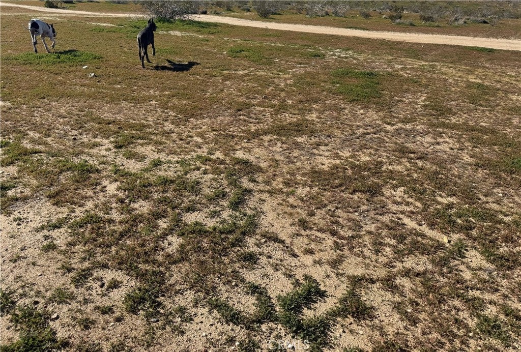 Photo of Listing #HD26011587