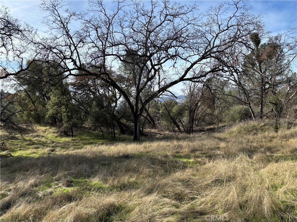 Photo of Listing #MP26002670