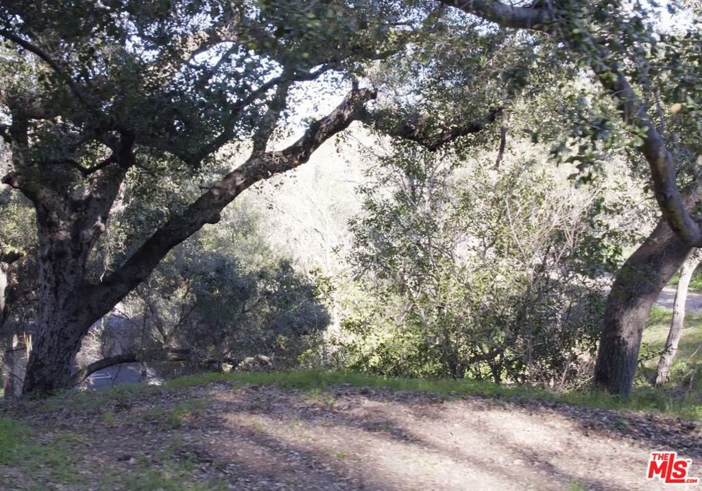 Photo of Listing #26639385