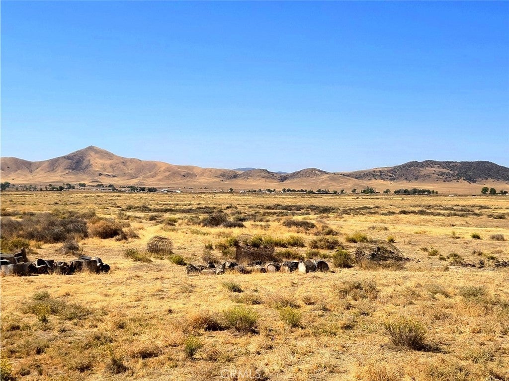 Photo of Listing #NS26011732